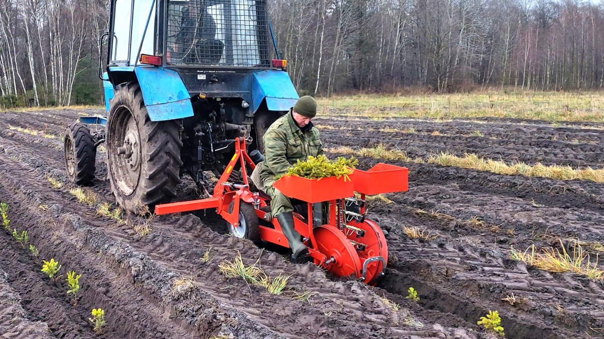 Лесопосадочная машина ЛМД-81