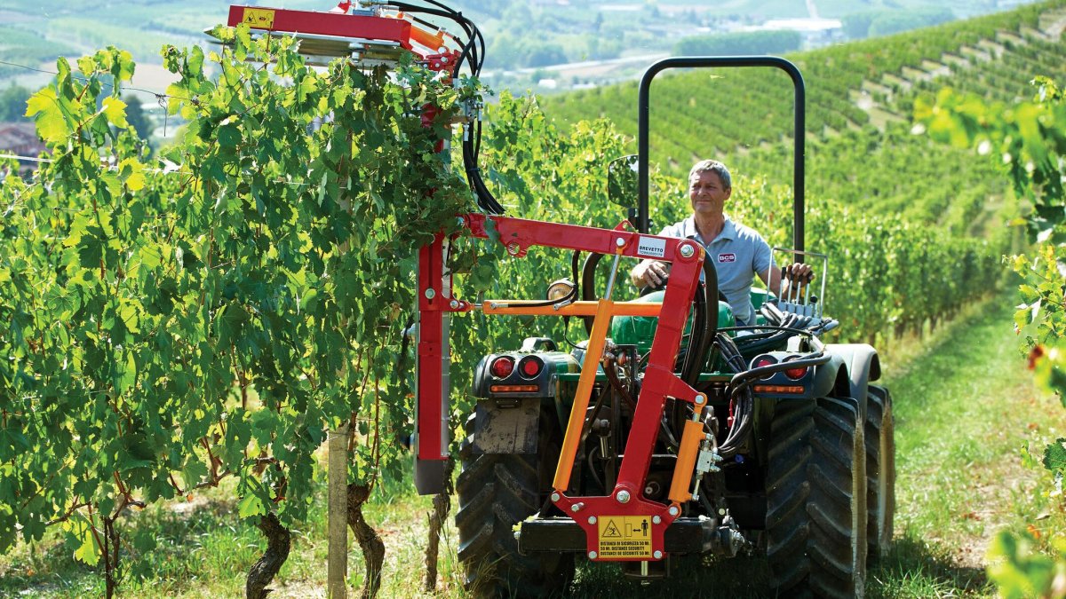 Трактор виноградник гусеничный