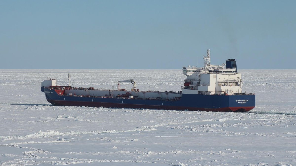 Штурман Альбанов судно