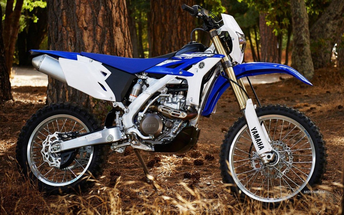 Yamaha WR 450