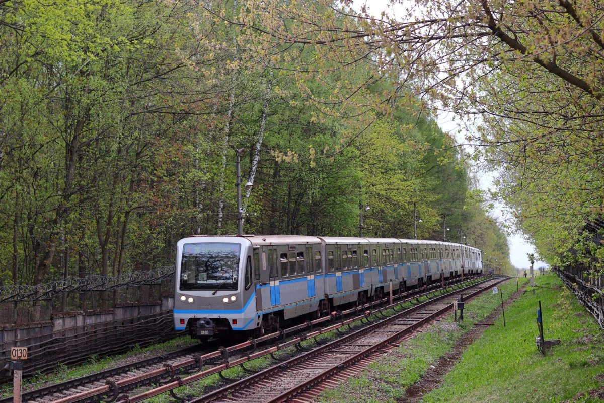 Русич вагон метро