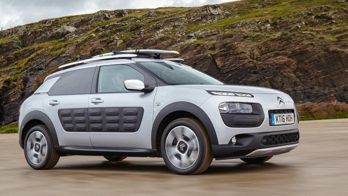 C4 Cactus