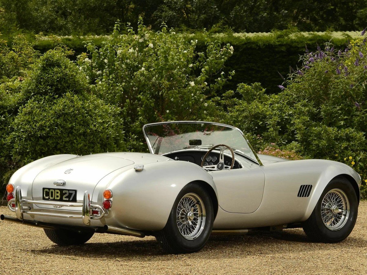 Шелби Кобра 1965