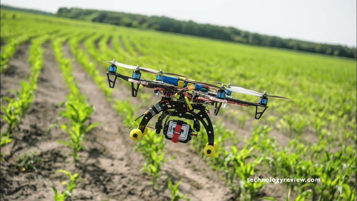 Дроны в сельском хозяйстве