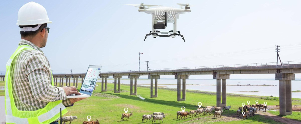 Дроны в животноводстве