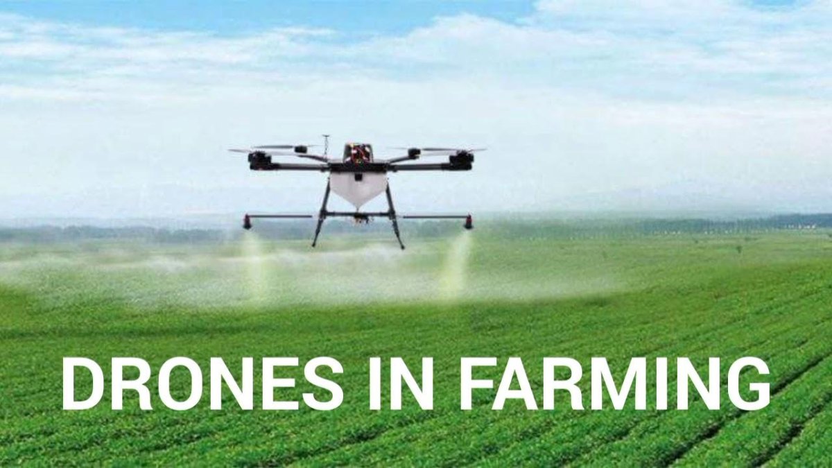 БПЛА В сельском хозяйстве