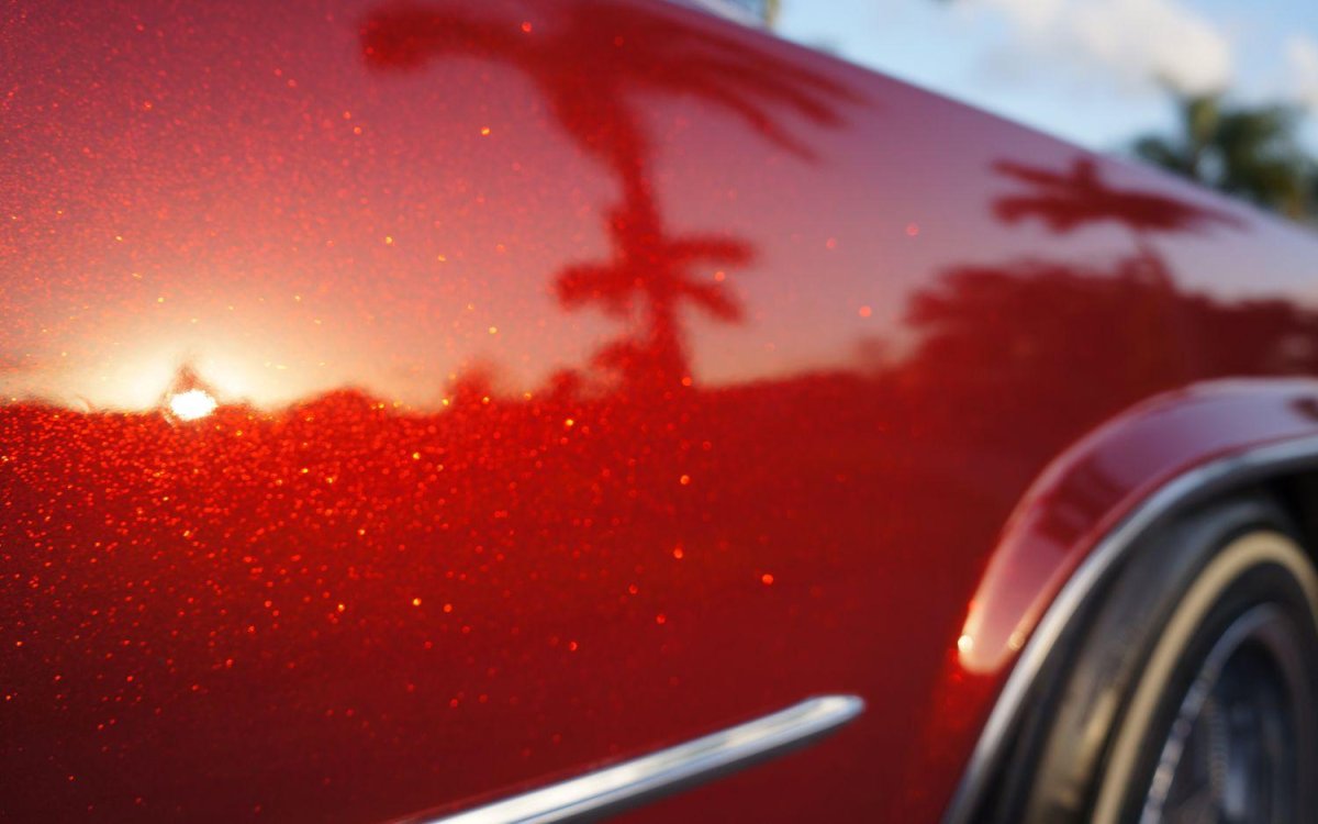 Красный ксералик Кэнди