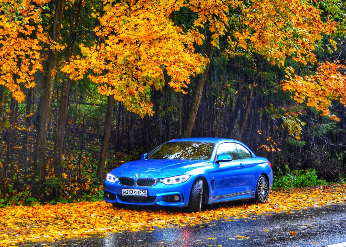 BMW f30 осень