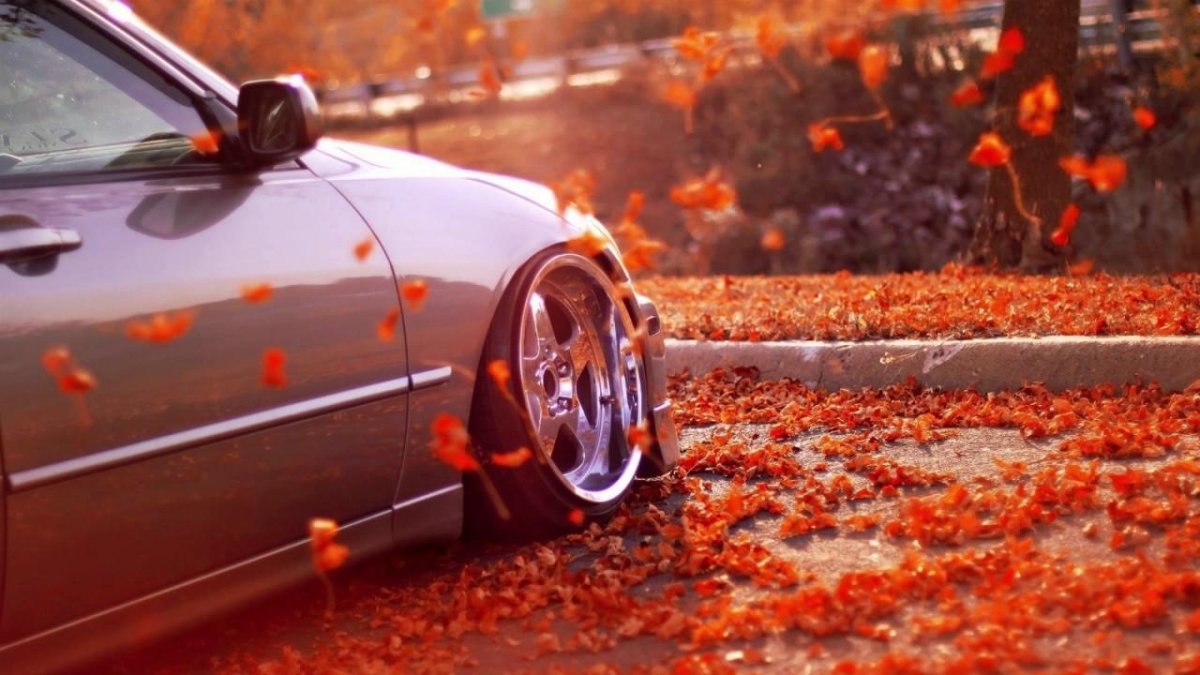 Машина осенью