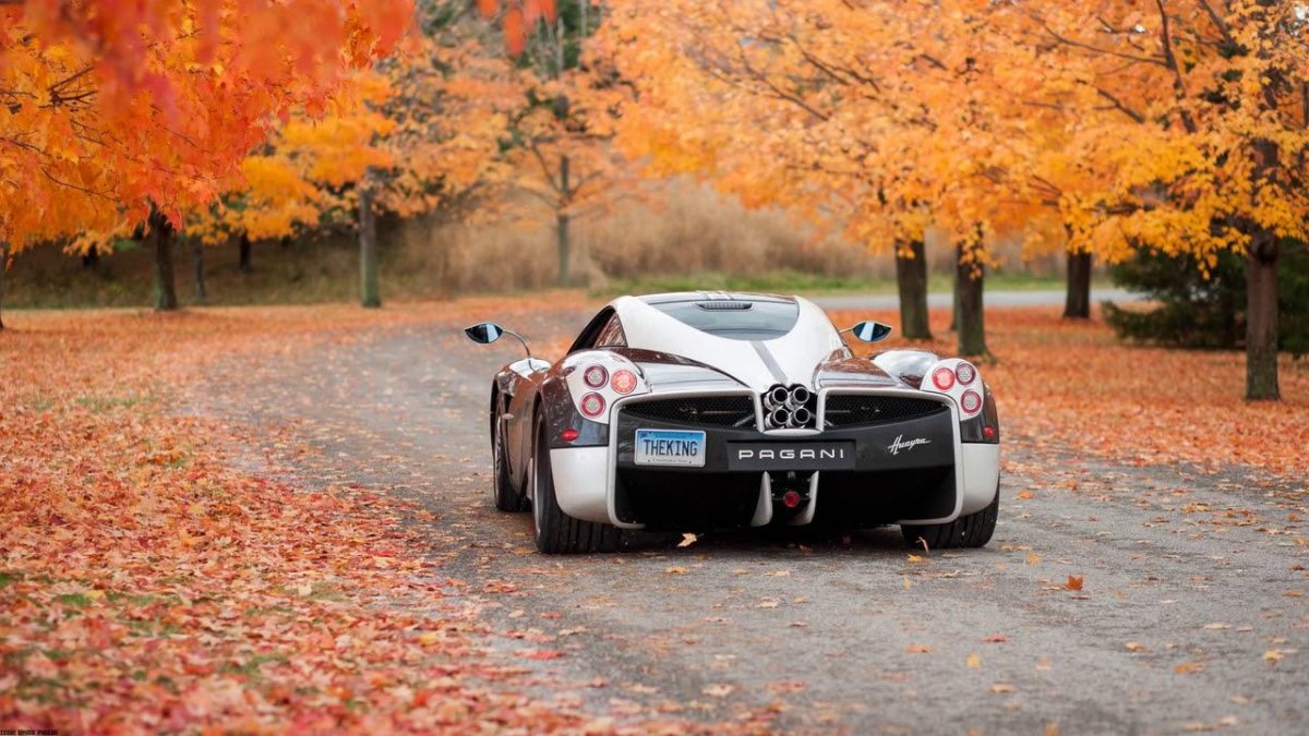 Машина в осенней листве