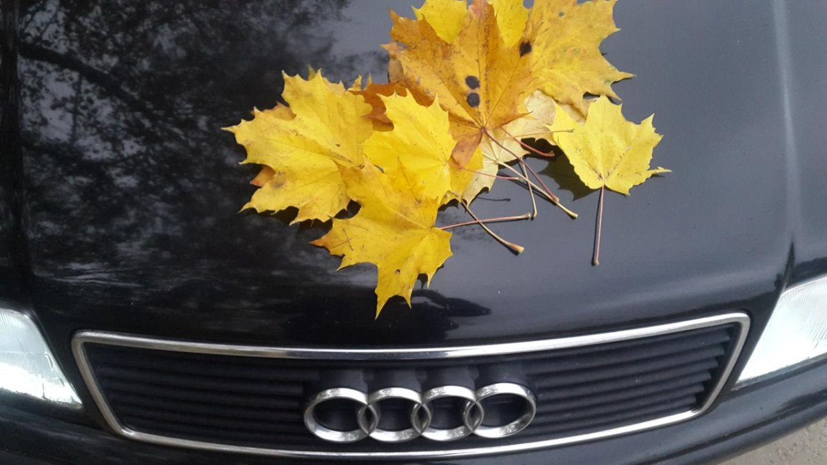 Машина осень листья