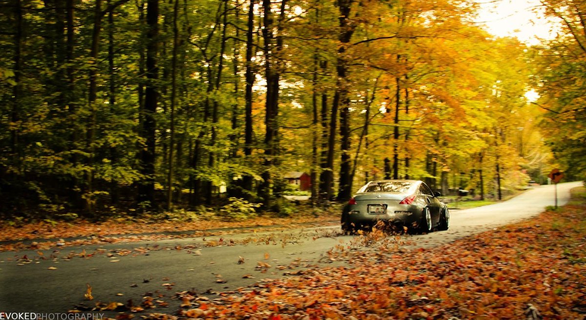 Автомобиль осенью