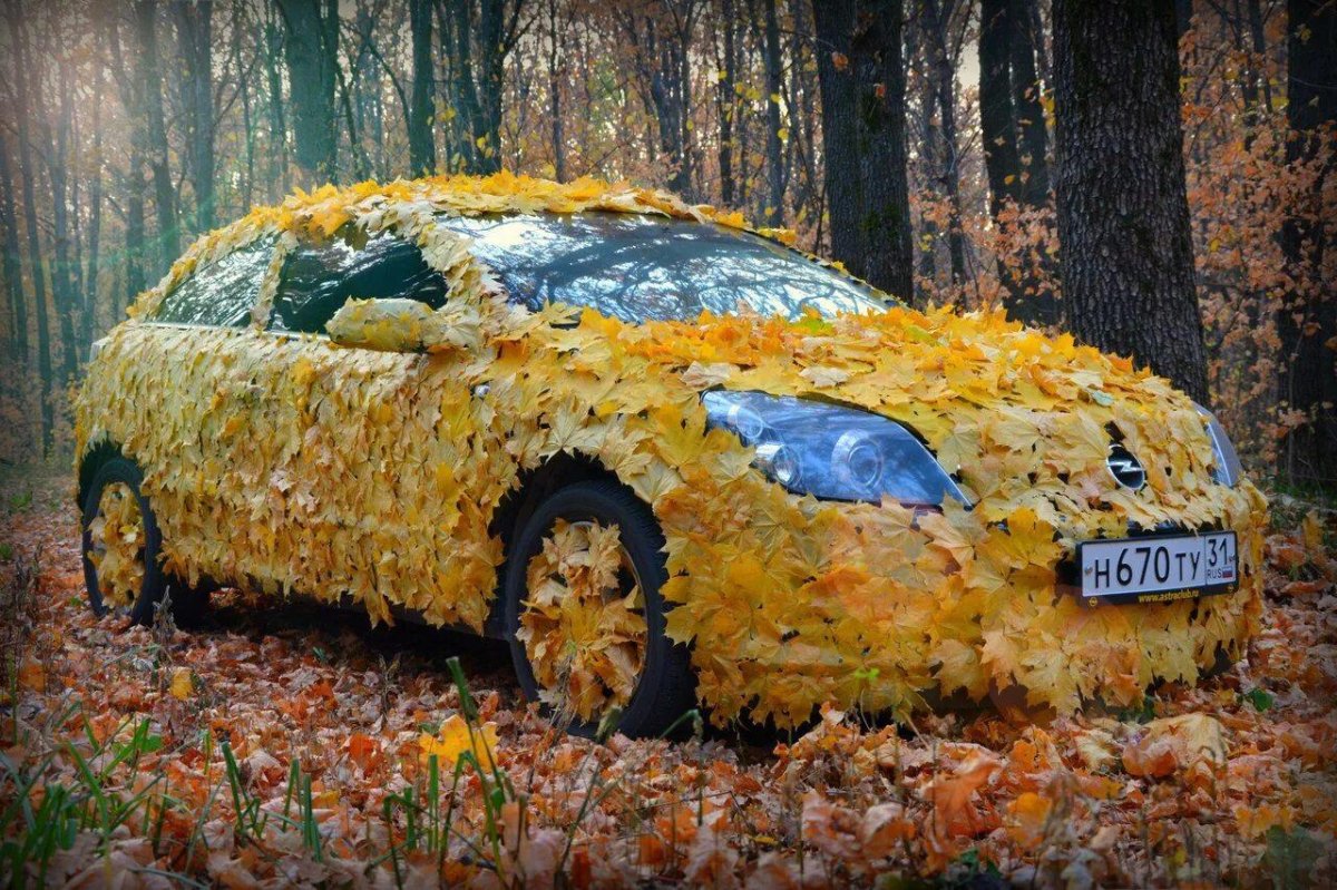 Осенняя машина