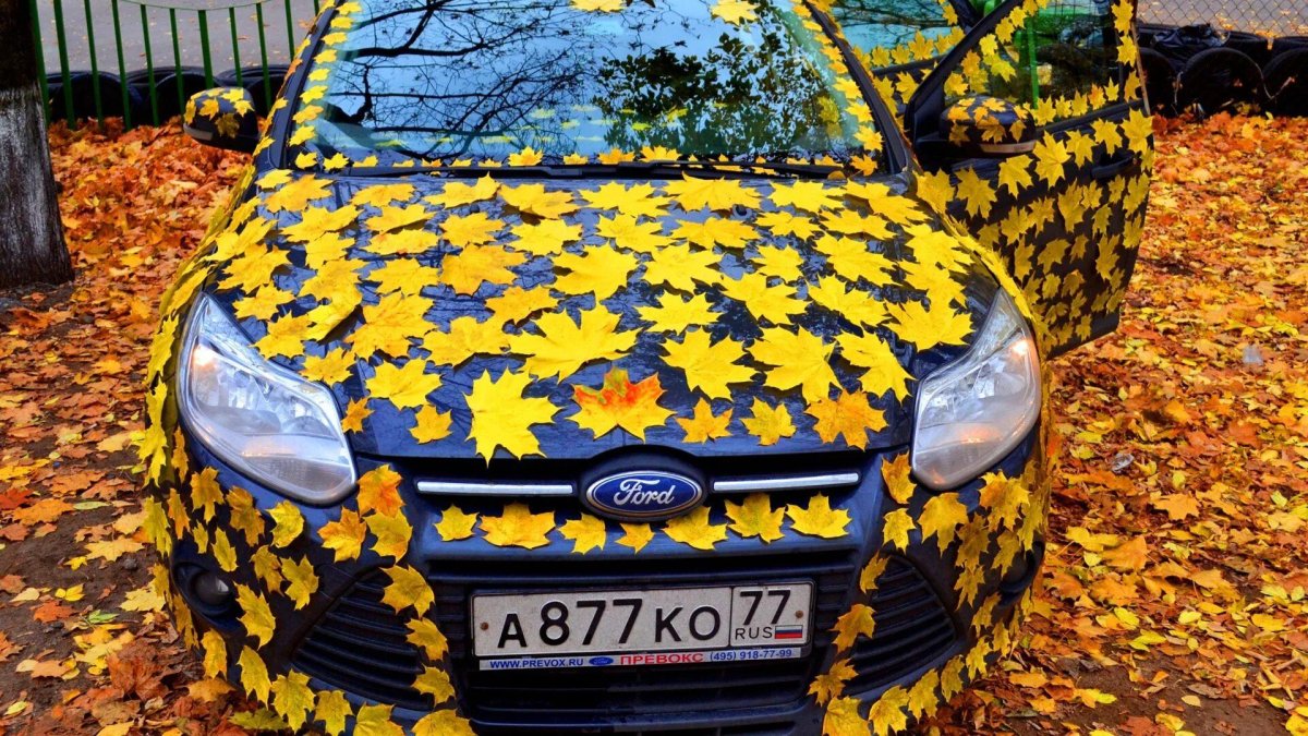 Машина на листе