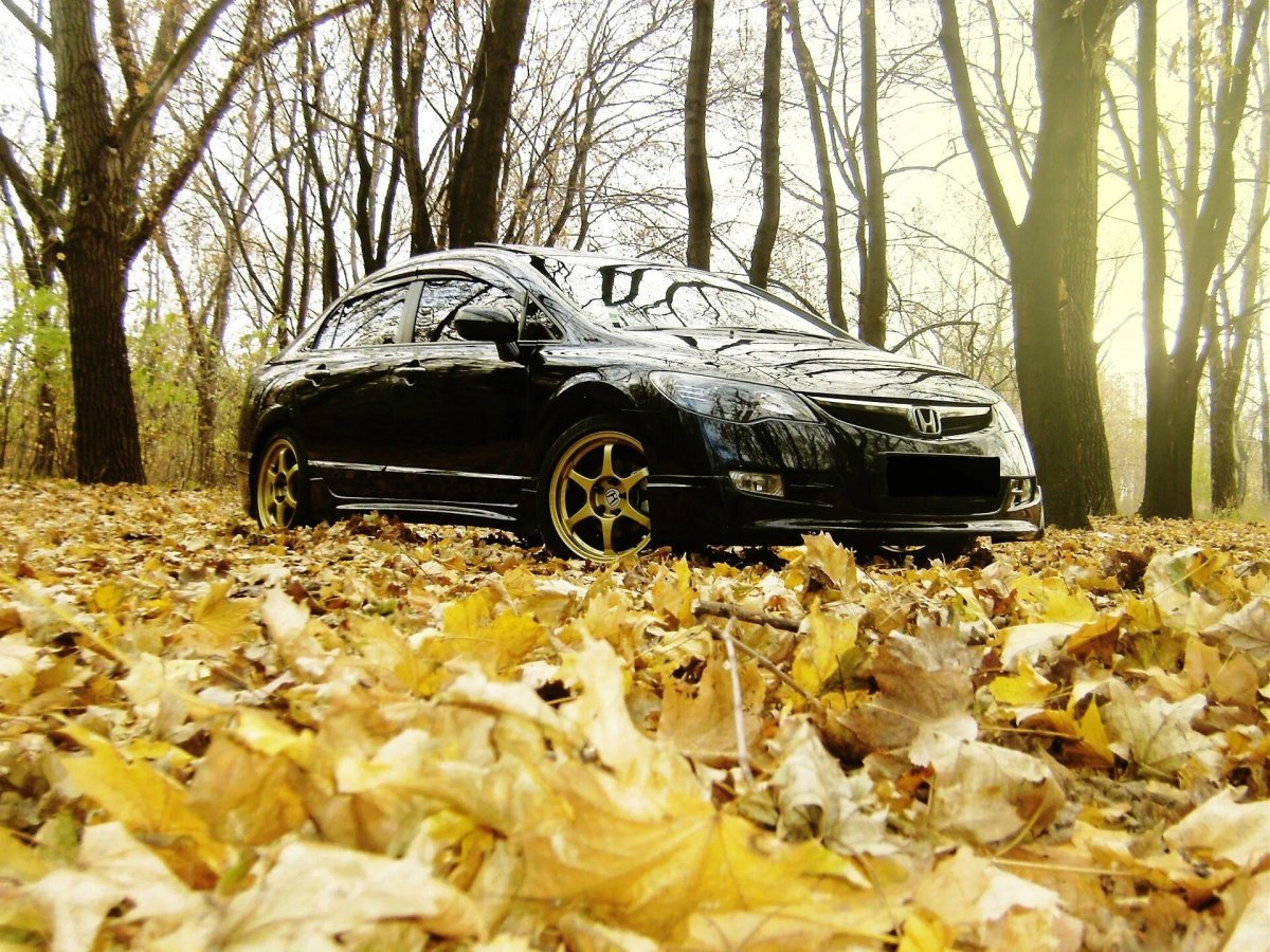 Машина осенью