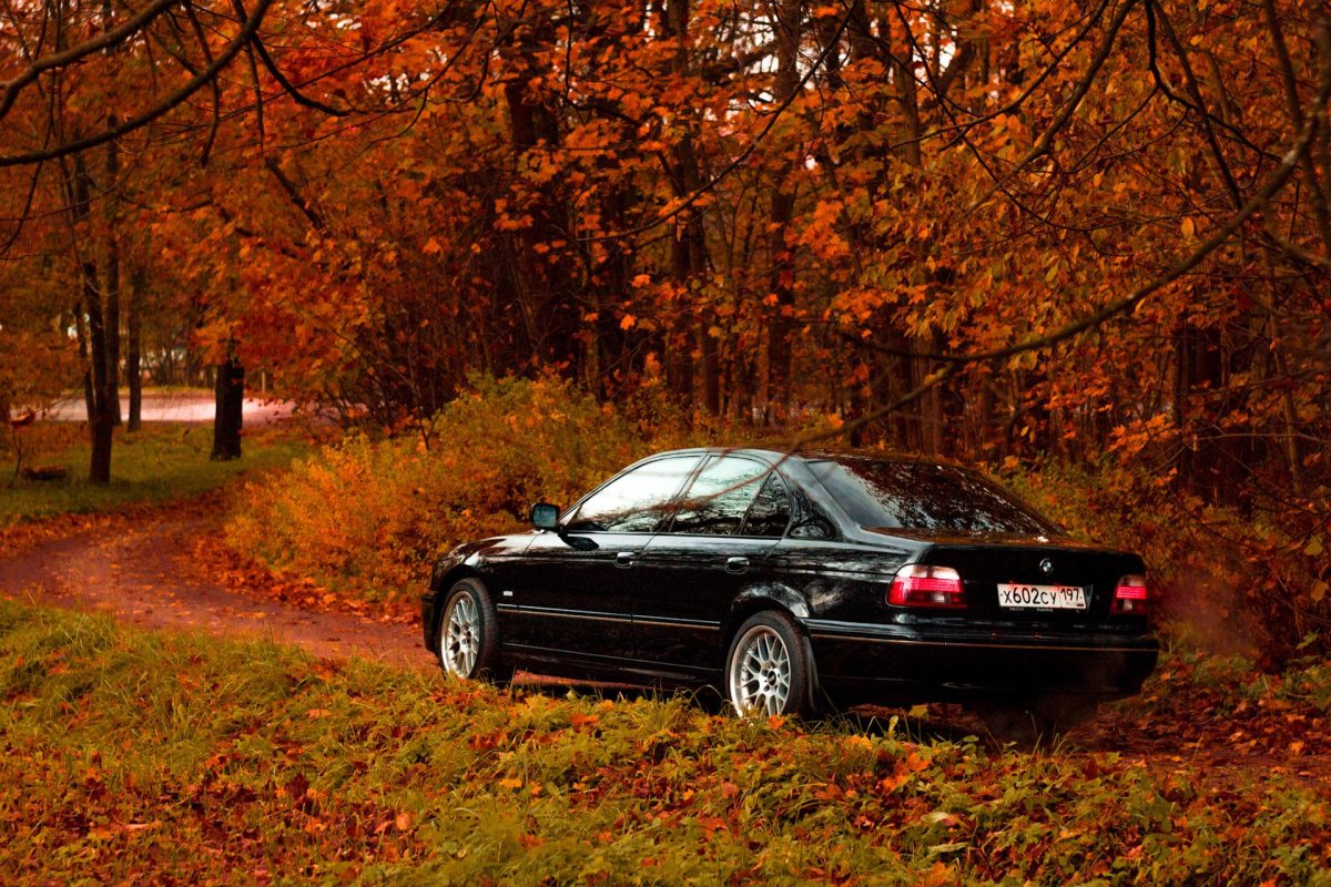 BMW e39 осень