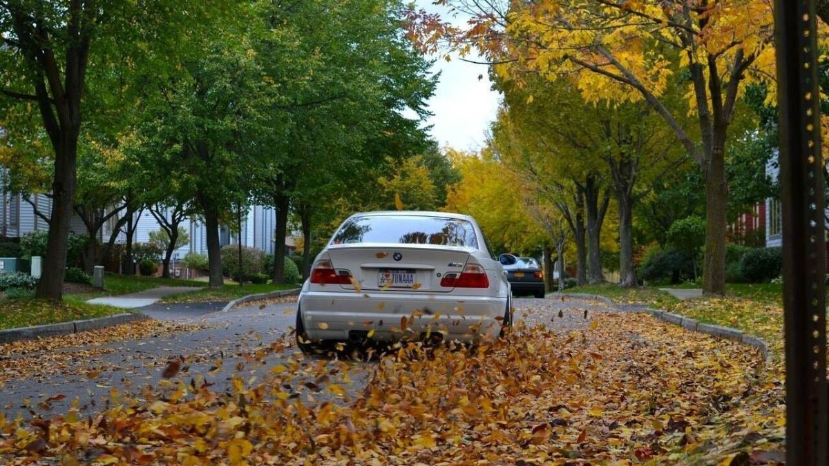 BMW e46 autumn