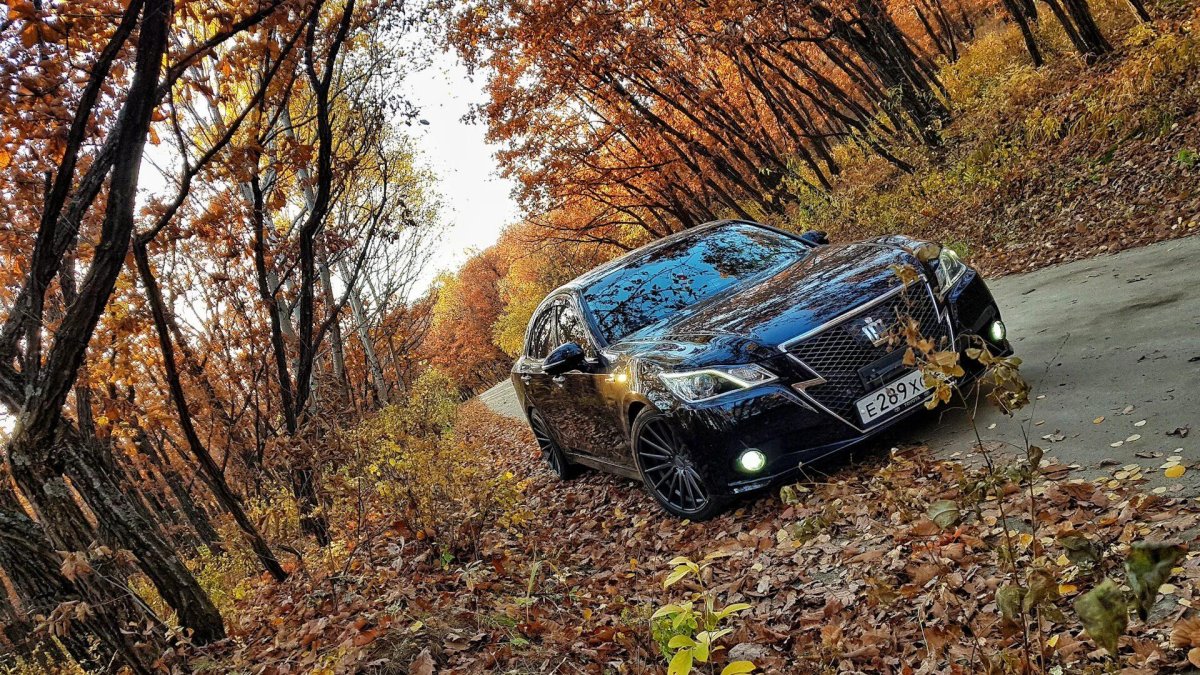 Авто осень