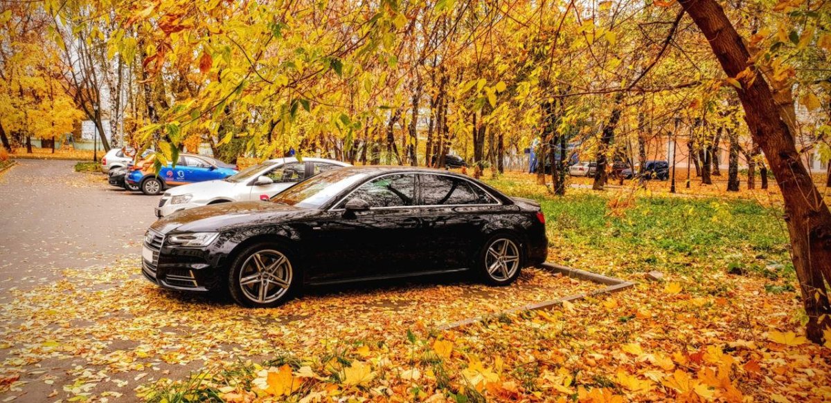 Осень Audi а8