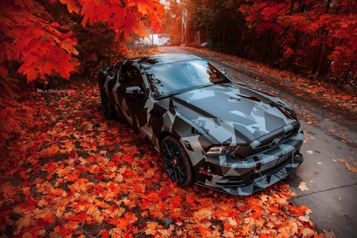 Форд Мустанг