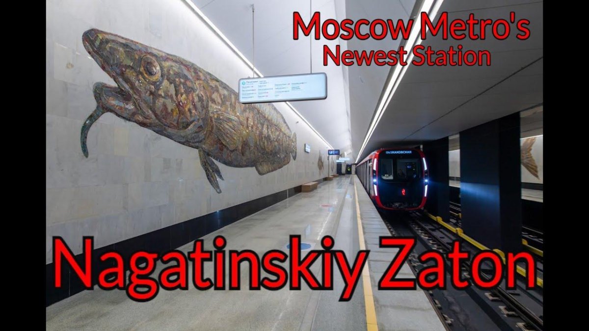 Станция Нагатинский Затон