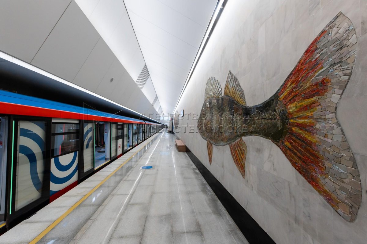 БКЛ Нагатинский Затон