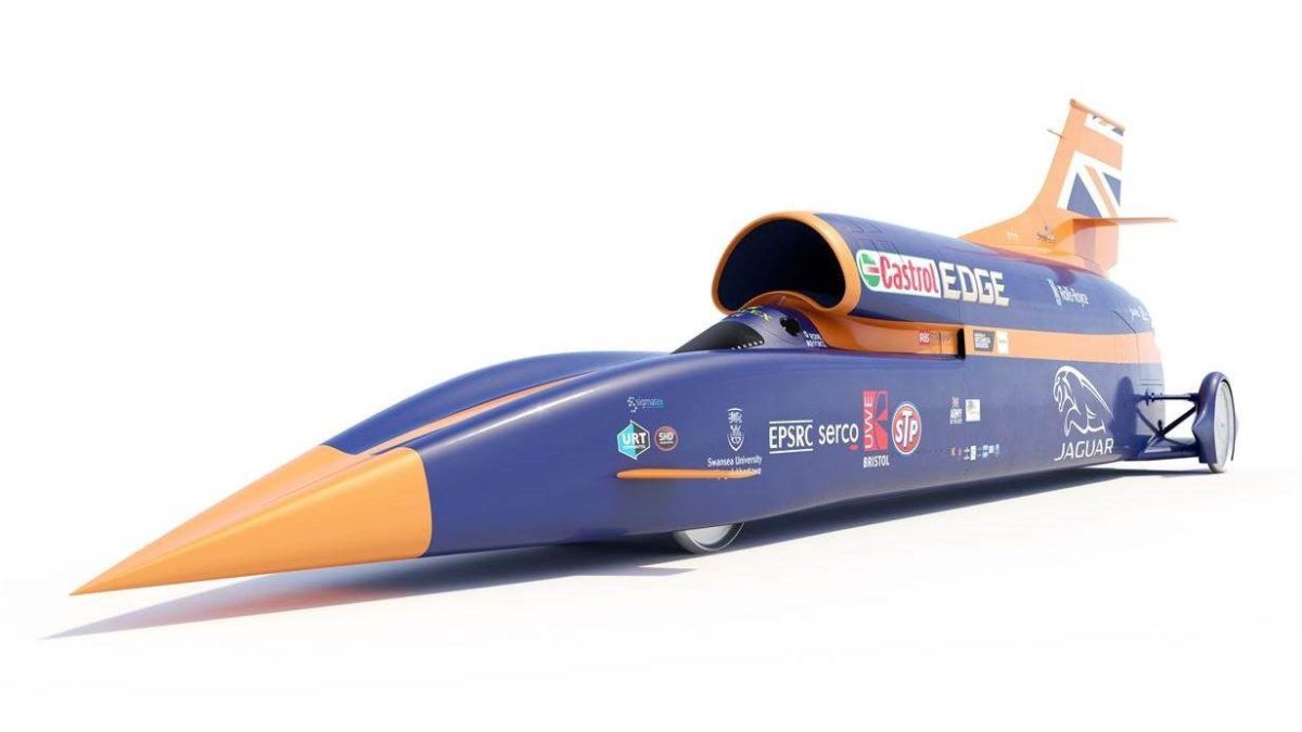 German Bloodhound 110см с215