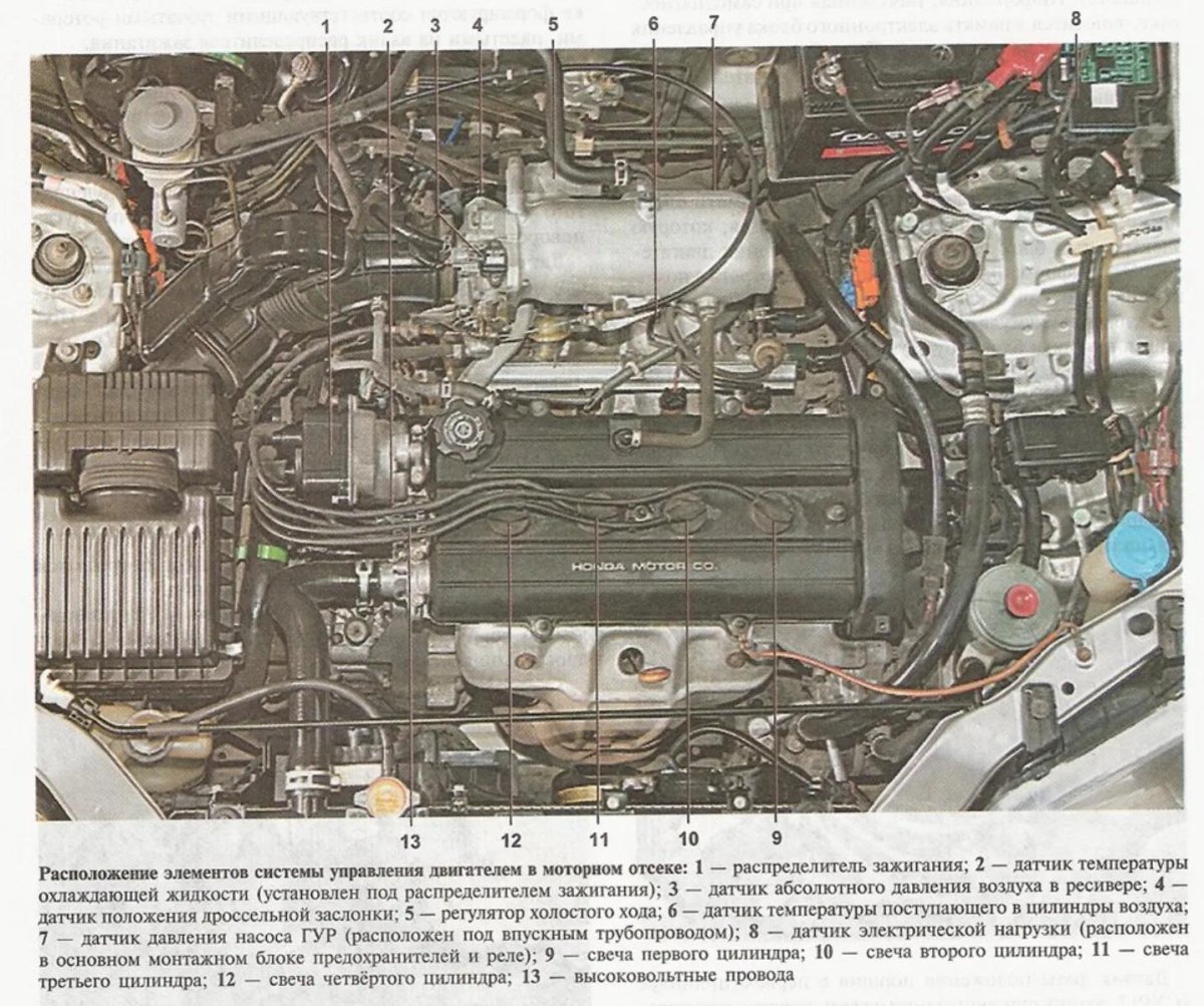 Система охлаждения Хонда СРВ 3 2.4