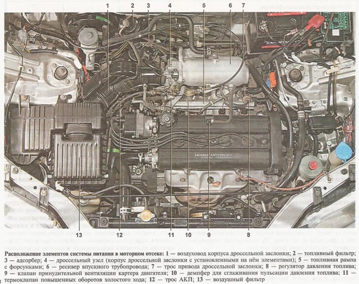 Система охлаждения Honda CR-V rd1