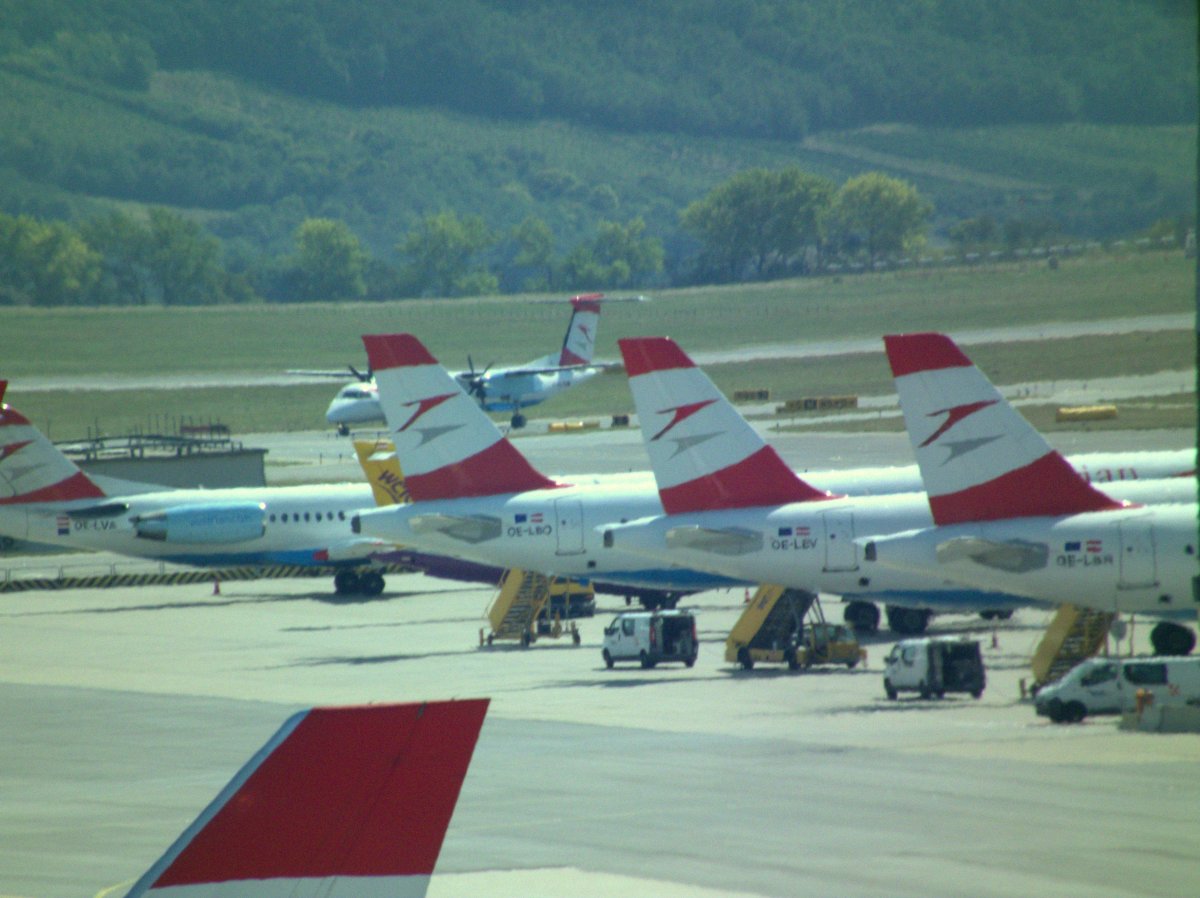 Вена аэропорт Швехат