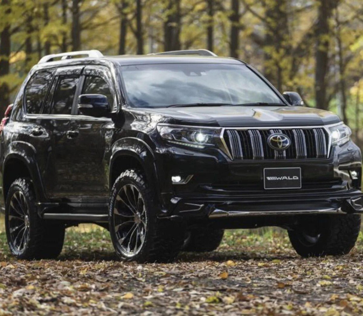 Toyota Land Cruiser Prado 150 Wald