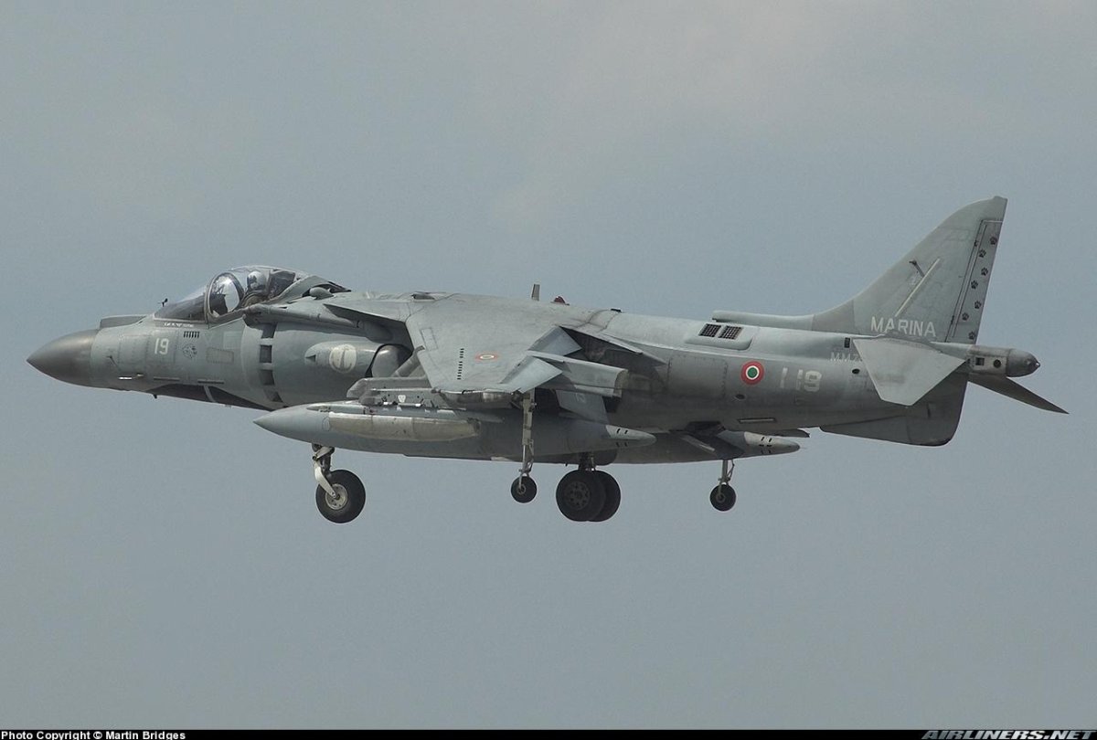 Harrier Wallpaper