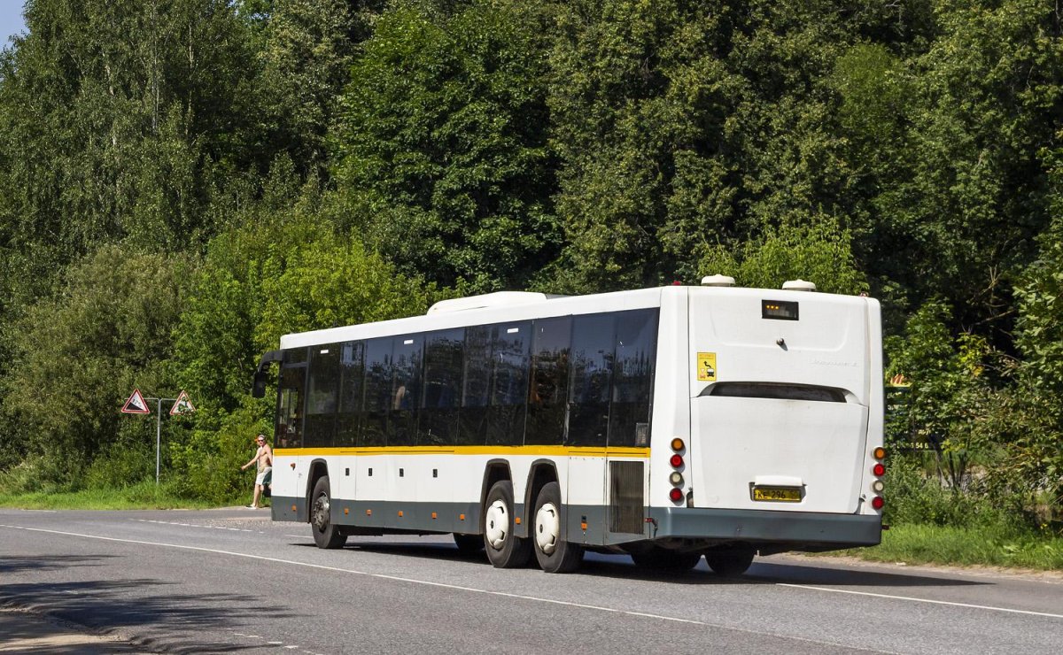 ГОЛАЗ - 529112 (47)