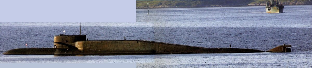 667бдрм «Дельфин»