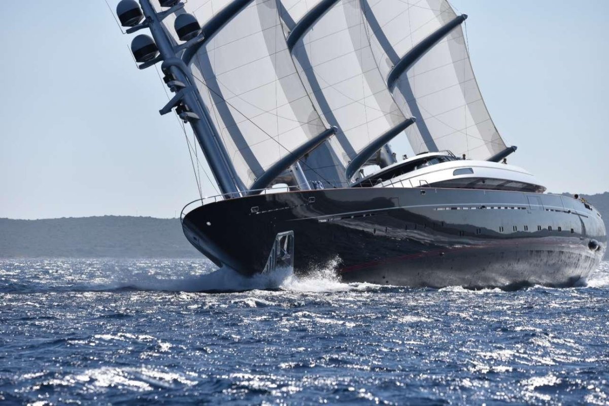 Мальтис Фалькон