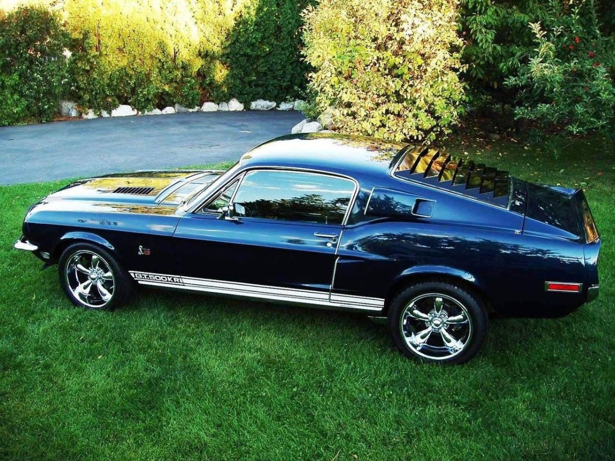 Ford Mustang gt500 Cobra