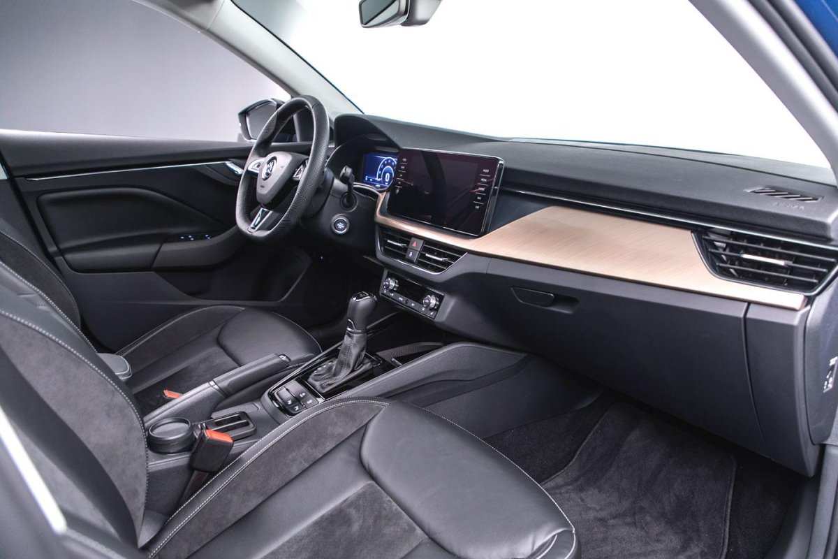 Шкода скала внутри