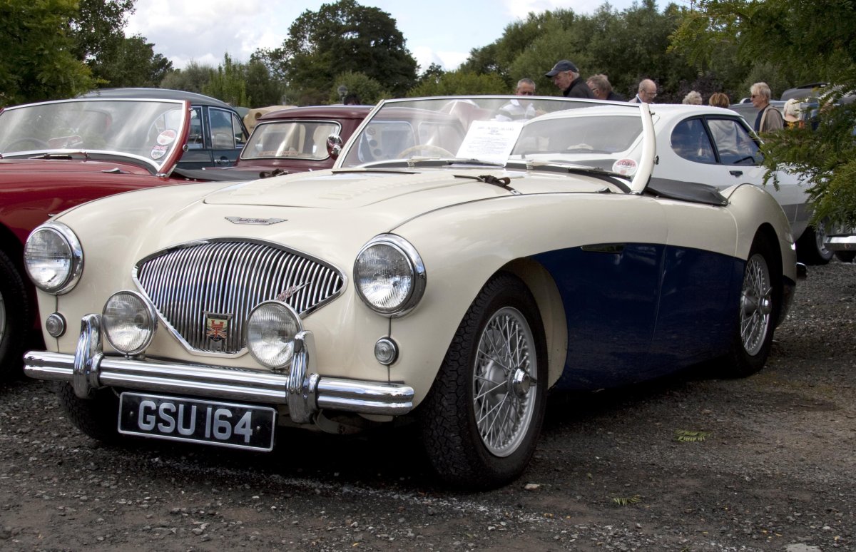 Austin Healey 1955