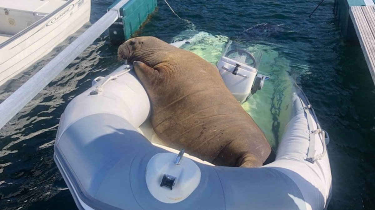 Супер неприятные фото