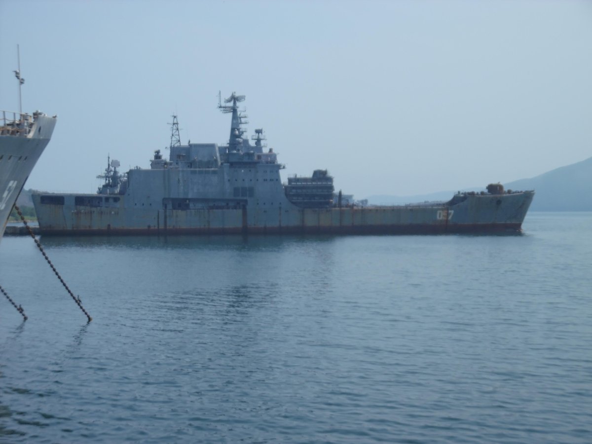 БДК 1174 Александр Николаев