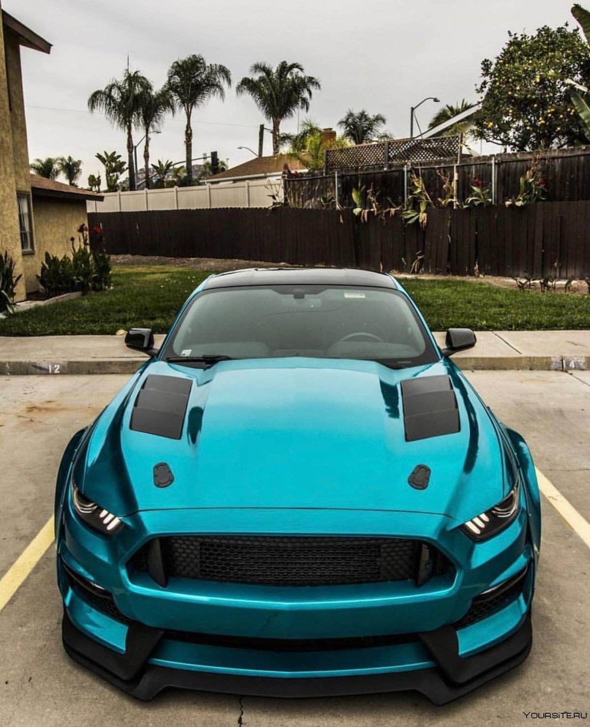 Форд Мустанг