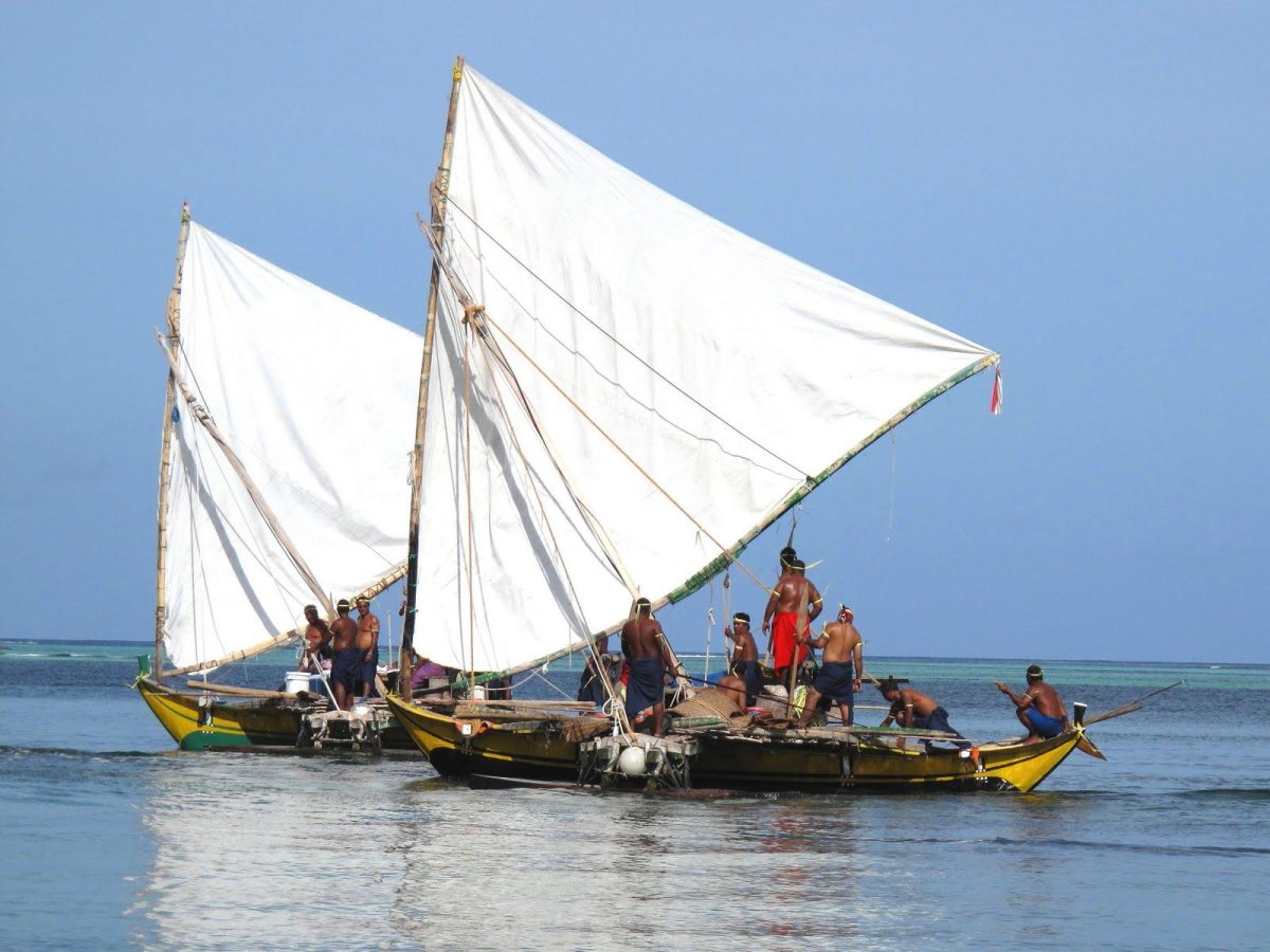Современное Тихоокеанское проа