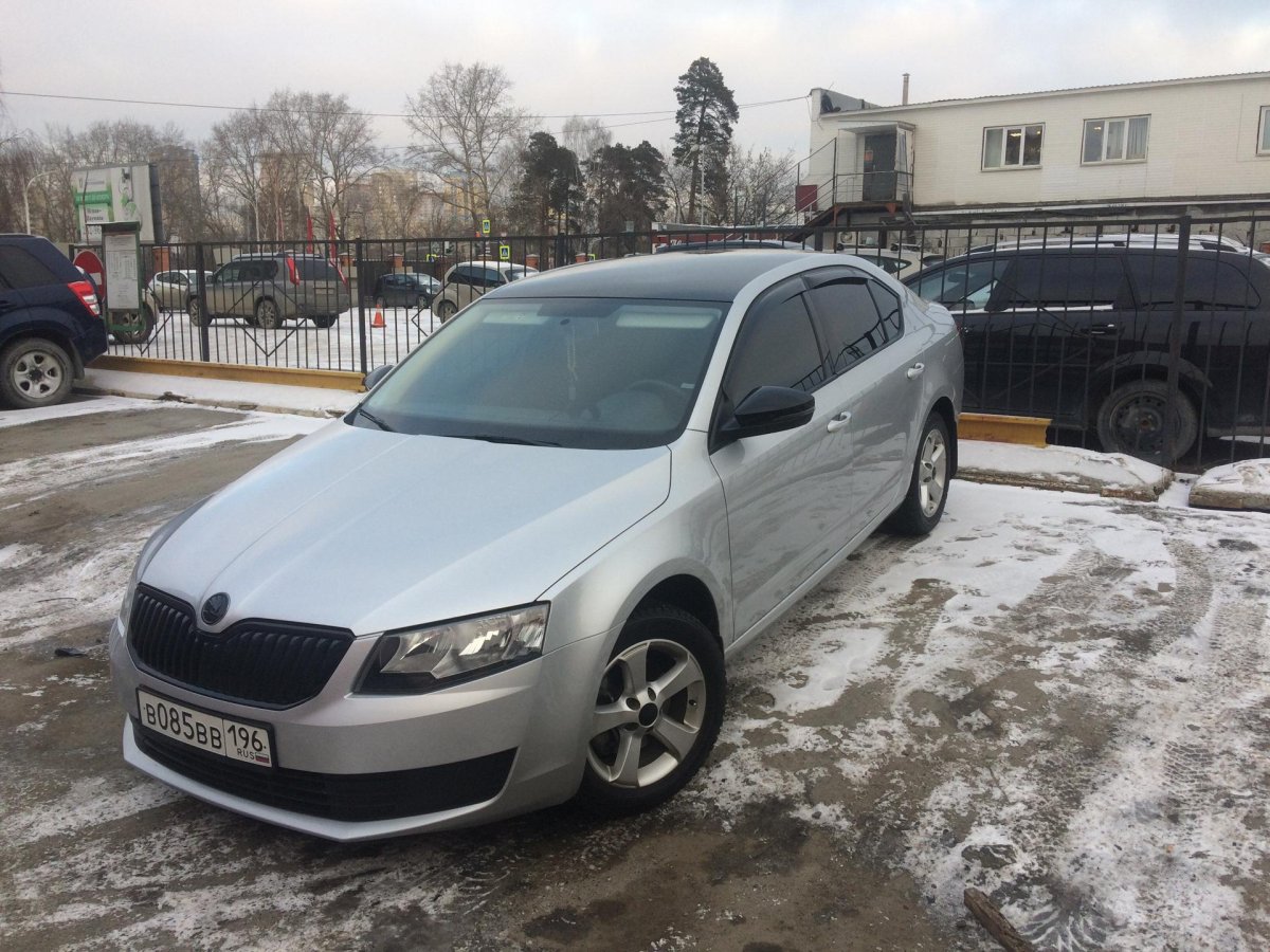 Серебристая Октавия с черной крышей