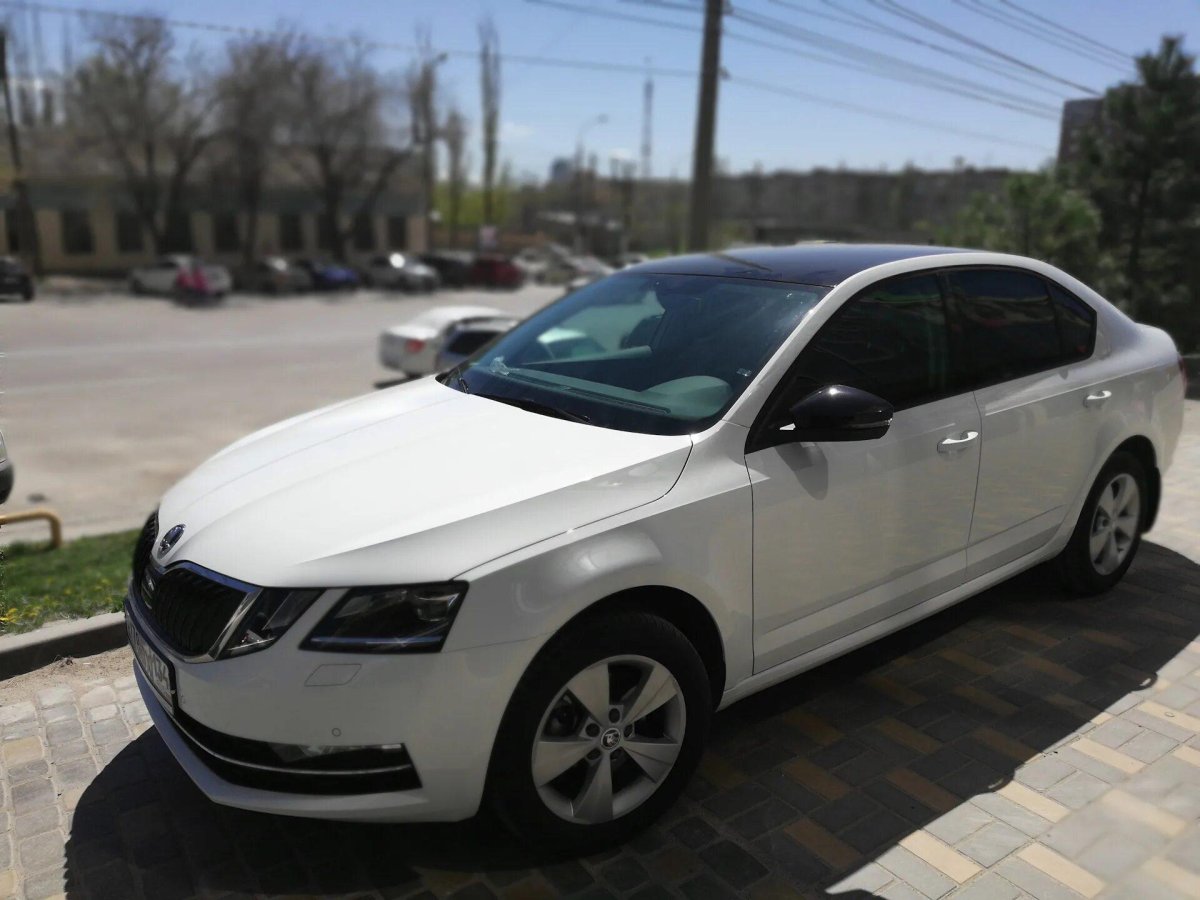 Шкода Октавия а8 белая с черной крышей