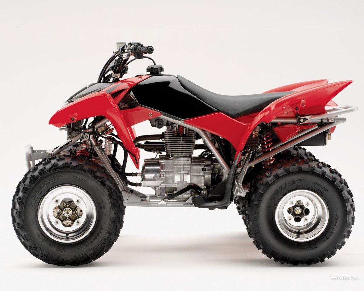Honda TRX 250
