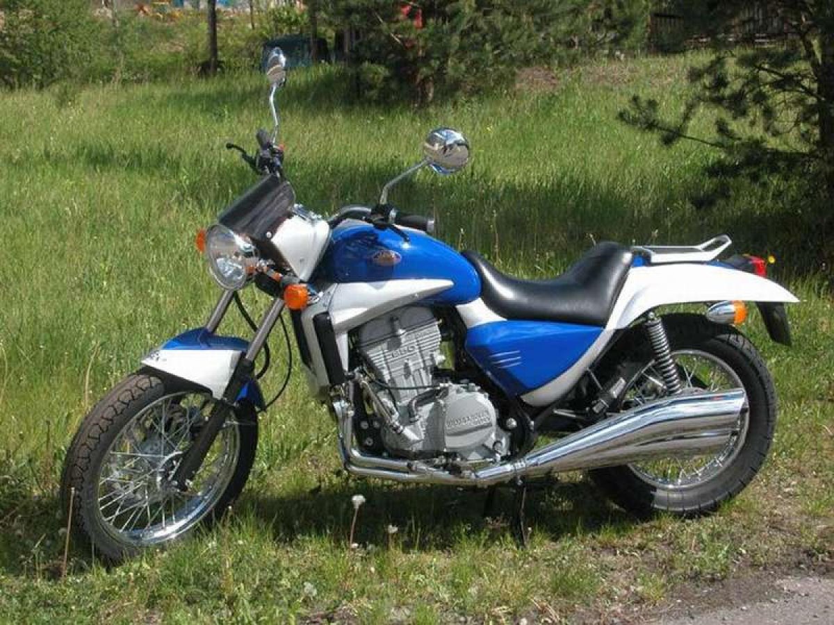 Ява Бизон 650