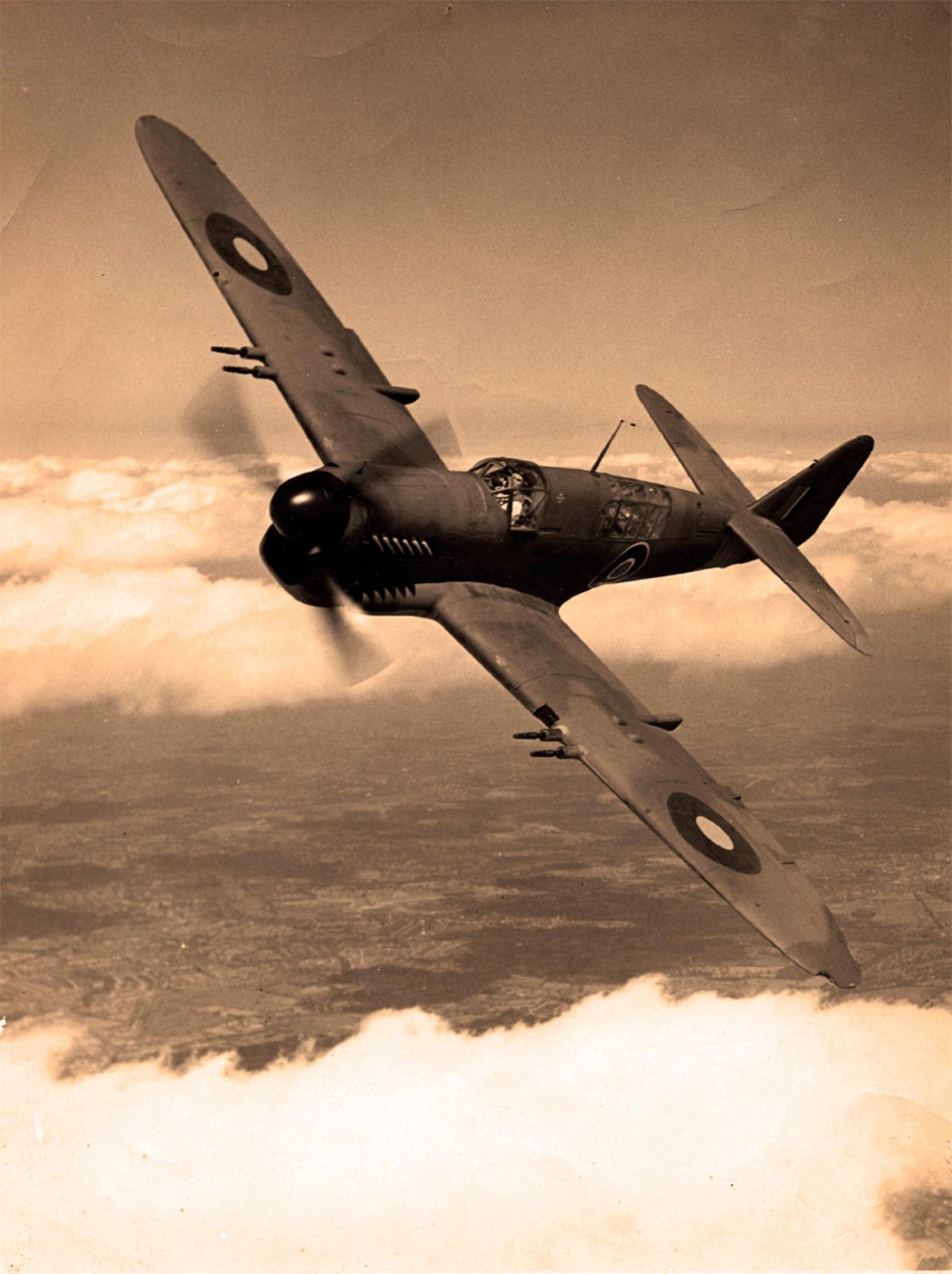 Фейри Файрфлай