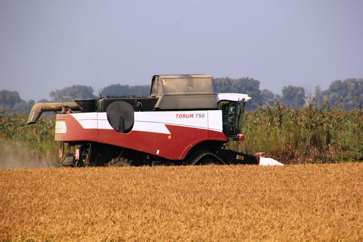 Ротор комбайна Торум 750