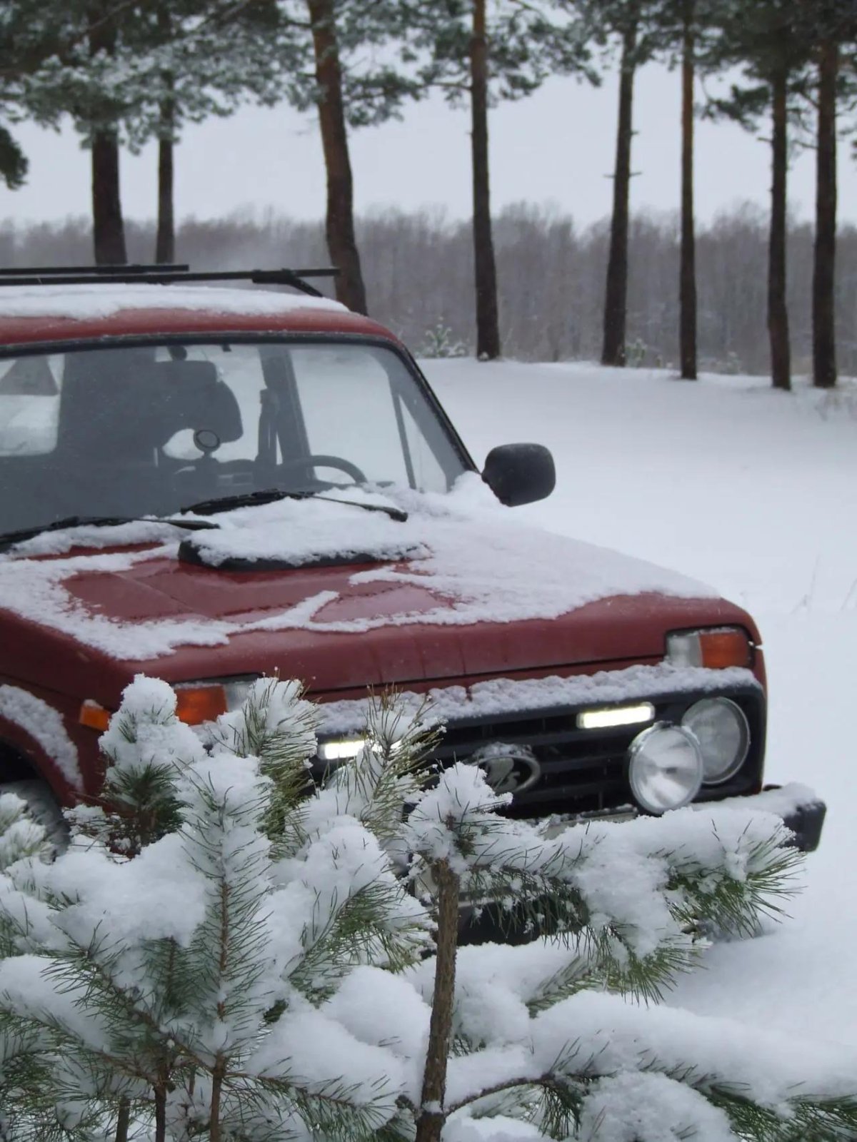 Нива в снегу