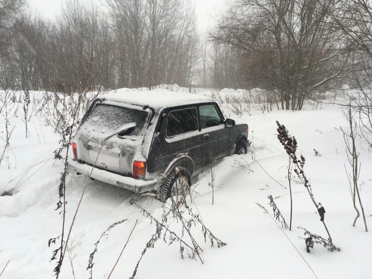 Нива в снегу